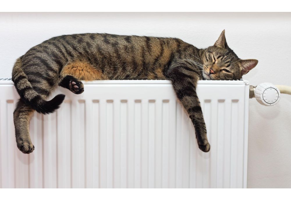 Płukanie instalacji CO